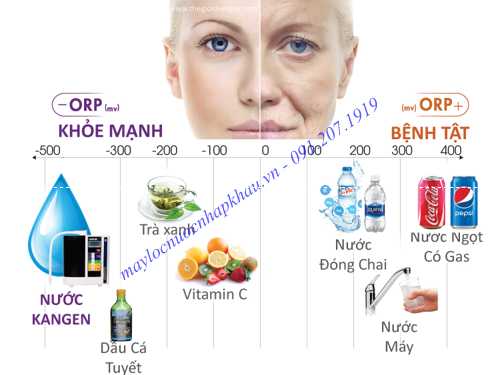 Gốc tự do gây lão hóa