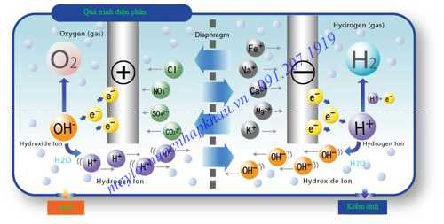 Buồng điện phân