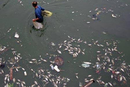 Ô Nhiễm Nguồn nước tại Hà Nam