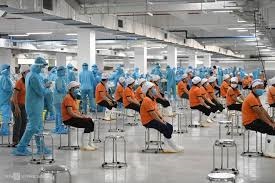 Anh hưởng của Đại dịch Covid-19