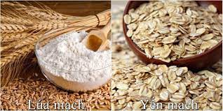 Lúa mạch tốt cho sức khỏe