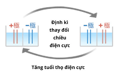 Bản cực đảo chiều vệ sinh điện cực