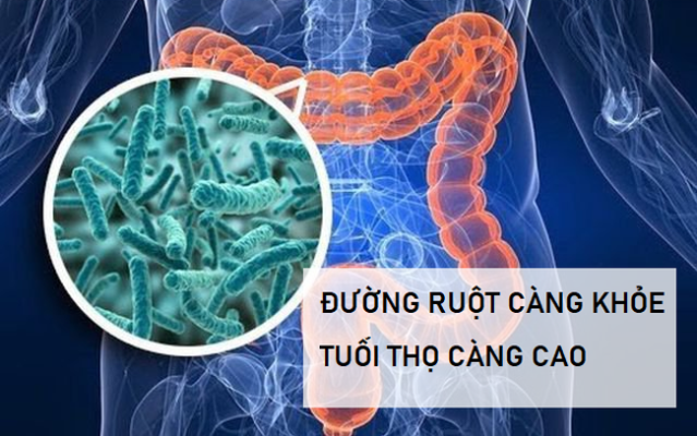 Đường ruột càng sạch tuooit thọ càng cao