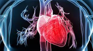 Nước ion kiềm vơi bệnh tim mạch