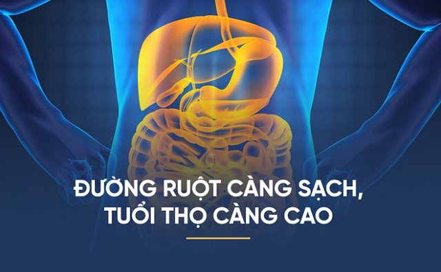 Đường ruột càng sạch tuổi thọ càng cao